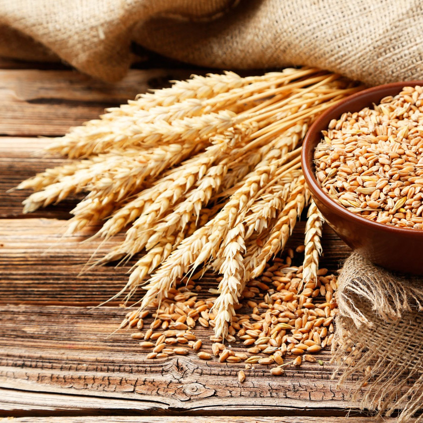 Купить Ячмень Пшеницу В Краснодарском Крае
